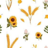 Seamless pattern of sunflowers, clover and wheat white background. vector