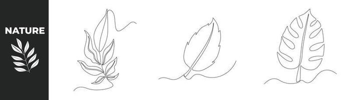 Single one line drawing leaves set concept. Beautiful Leaves. Continuous line draw design graphic vector illustration.