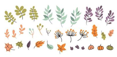 ig doodle set of hand drawn autumn floral design elements. Fall elements leaves, flowers on white background for autumn fall, agricultural harvest, Thanksgiving or Halloween designs vector