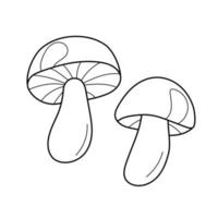 Two mushrooms - linear vector illustration for coloring. Autumn coloring. Outline. Hand drawing cartoon image on white