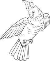 Parrot. The drawing is handmade in black and white. For illustrations and colouring books. vector