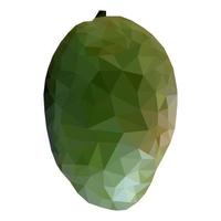 Ripe green mango, juicy and soft vector