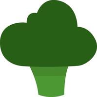 Green broccoli, illustration, vector on a white background.