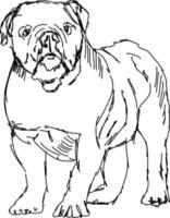Dibujo de perro, ilustración, vector sobre fondo blanco.