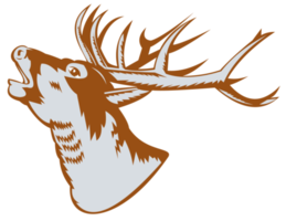 Stag Deer Roaring png
