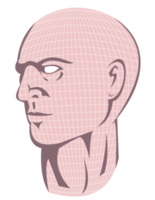 manlig mänsklig huvud med rutnät png