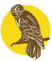 Owl on Branch Retro png