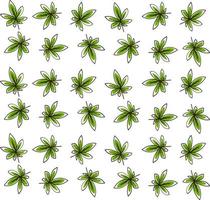 Papel tapiz de marihuana, ilustración, vector sobre fondo blanco.