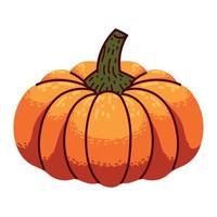 icono de vegetales de calabaza vector