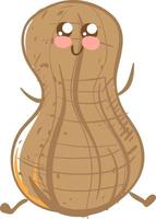 Cute peanut in shell, illustration, vector on white background.