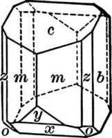 Orthoclase, vintage illustration. vector