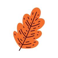 dry leaf autumn vector