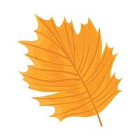 leaf nature icon vector