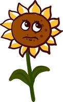 Sad sunflower, illustration, vector on white background.