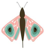 butterfly bug icon vector