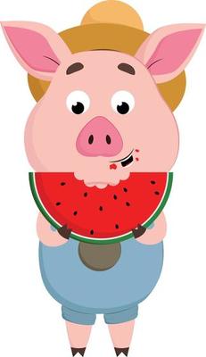 Pig eating watermelon, vector or color illustration.