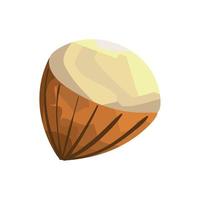 acorn autumn nut vector