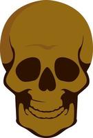 Skull head, illustration, vector on white background.