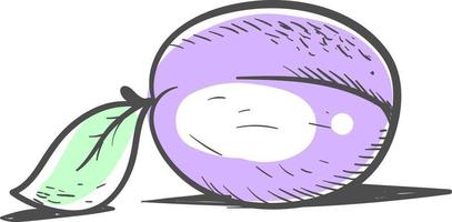 Plum drawing, illustration, vector on white background.