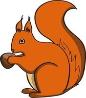 Squirrel, illustration, vector on white background.