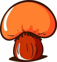 Orange mushroom, illustration, vector on a white background.