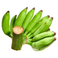 banane verte, fond transparent de banane crue png