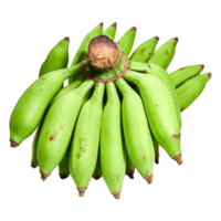 plátano verde, plátano crudo fondo transparente png