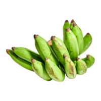 banane verte, fond transparent de banane crue png