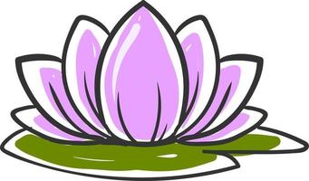 Lotus drawing, illustration, vector on white background.