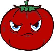 Angry tomato , illustration, vector on white background