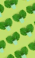 Tropical palm monstera leaves lies in a pastel pails on a colored background. Flat lay trendy minimal pattern. Top view photo