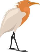 Interesting bird, illustration, vector on white background.