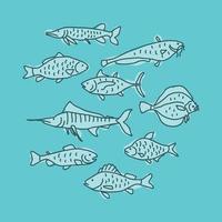 Doodled Fishes Collection vector