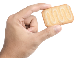 Hand holding cookies isolated png