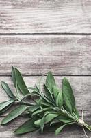 Green sage bunch on wooden table, vertical flatlay, copy space photo