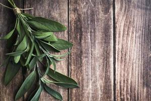 Sage leaf, kitchen sage on dark wooden table, cooking background, copy space photo