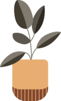 diseño plano de planta en maceta png