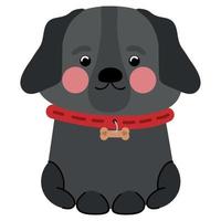 dog with collar vector