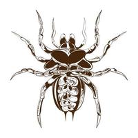 bug nature icon vector