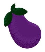 eggplant vegetable icon vector