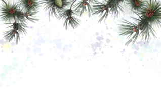 pine branches in snow, christmas background png