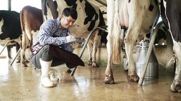 los hombres de agricultura usan camisas a rayas y botas tomando nota de la inspección y el análisis de las vacas en la granja mientras usan el succionador automático de vacas. felizmente dentro de la granja