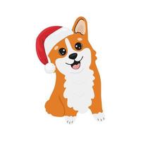 corgi con sombrero de santa claus. ilustración de dibujos animados de vector de perro corgi. Lindo cachorro corgi galés amistoso, aislado sobre fondo blanco.