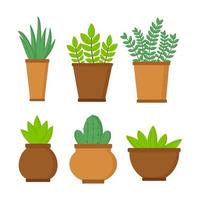 Set of pots with plants on white background. Vector isolated objects for site design about plants or clipart