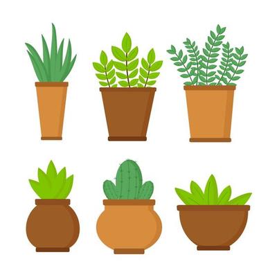 Set of pots with plants on white background. Vector isolated objects for site design about plants or clipart