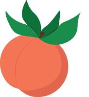 Peach vector drawing in a flat style, minimalistic fruit whole on a white background