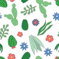 Hand drawn blooming cacti and succulents, seamless pattern with white background vector