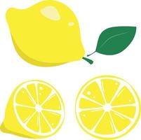 Flat vector lemon whole and slice, bright citrus on white background minimalism