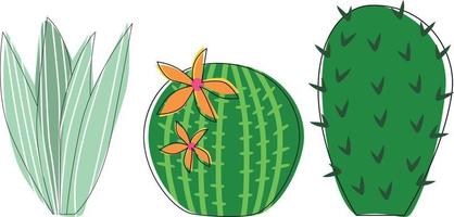 un conjunto de cactus en un estilo plano, colores brillantes, suculento floreciente sobre un fondo blanco vector