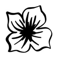 Black line doodle flower on white background. Vector illustration about nature.